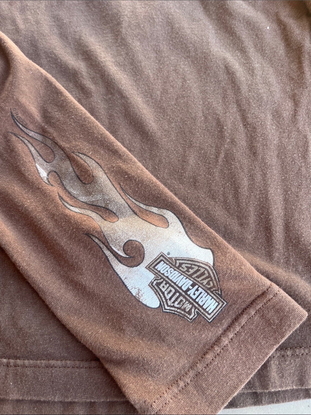 Harley-Davidson Brown Long Sleeve Logo Tee with Cream Graphic - Picture 4 of 4